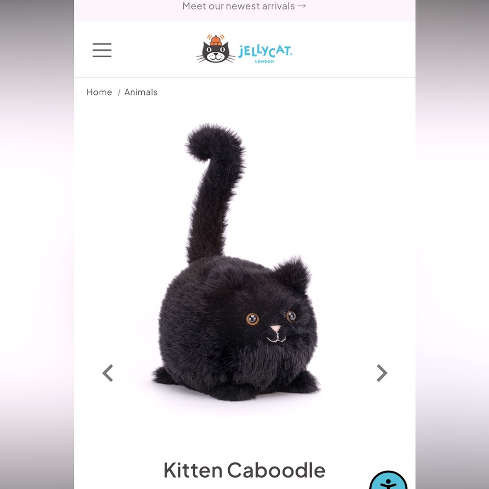 Jellycat Kitten Caboodle in Black RARE GREY NOSE RETIRED JCINC5568